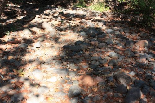 Hike